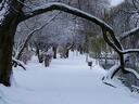 KS220901_28Custom29_28Medium29.jpg
